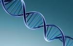 Dna-6434_150x0