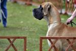 Dolozone-5-fot-gdphotography-3262_150x0