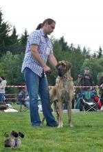 P1570660cropjpg-6160_150x0
